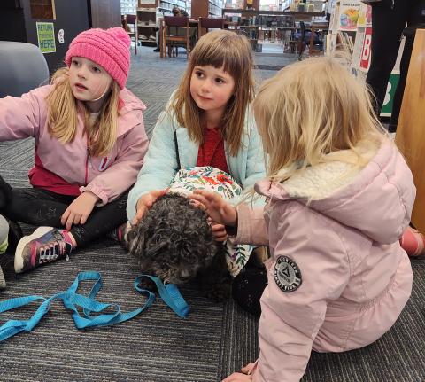 Three grade schools girls in pink and blue petting a black/gray dog with a blue leash