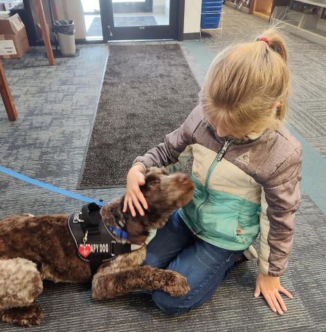 young girl with blond hair petting a springerdoodle therapy dog